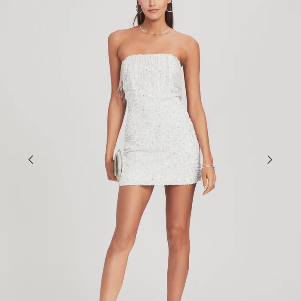 NWT retrofete Cassandra dress
